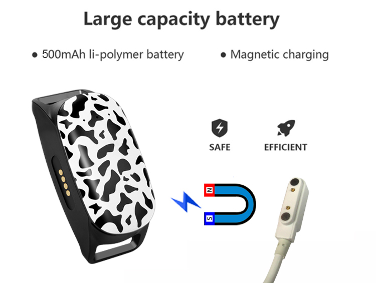 Y34-1 (11) Y34-1 (11)