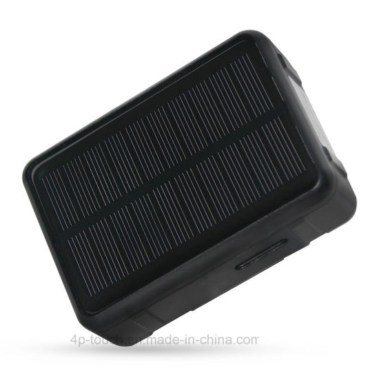 最佳 2G IP67 防水宠物太阳能 GPS 追踪器，具有 9000mAh 大电池容量，用于牛历史追踪 (V34)