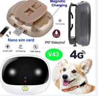 4G Lte GPS微型GPS追踪器，防水IP67 V43