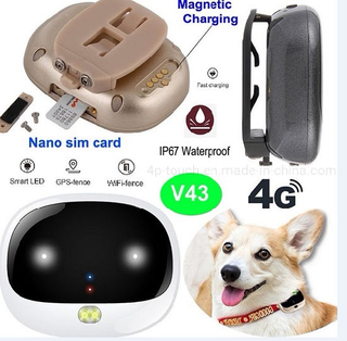 4G Lte GPS微型GPS追踪器，防水IP67 V43