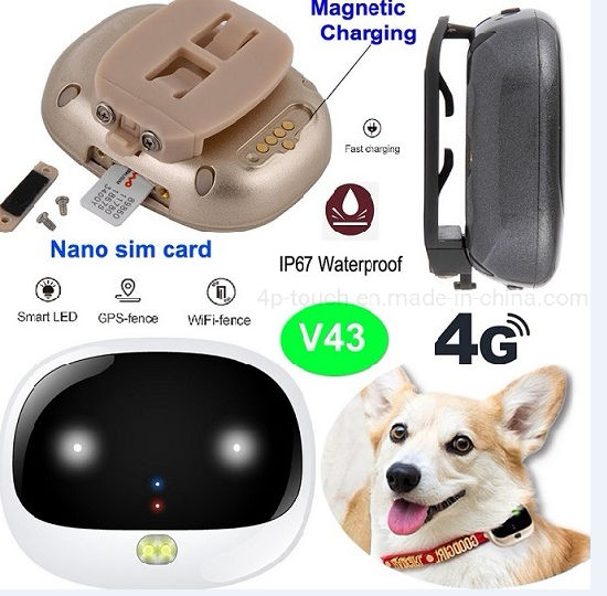 具有防水IP67 V43的4G Lte GPS微型GPS跟踪器