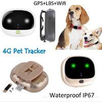 //irrorwxhjijrll5q.leadongcdn.com/cloud/lpBqkKqqRlqSnkjmjinq/Pets-GPS-Tracking-with-Pet-Findling-LED-Light0.jpg