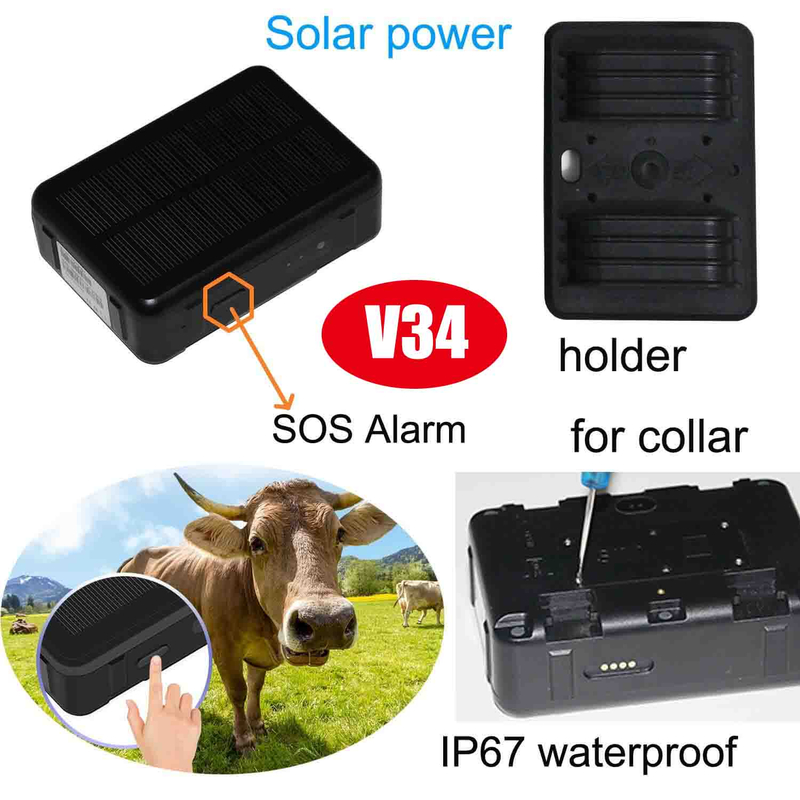 最佳 2G IP67 防水宠物太阳能 GPS 追踪器，具有 9000mAh 大电池容量，用于牛历史追踪 (V34)