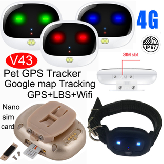 IP67防水宠物跟踪LTE GPS跟踪器V43