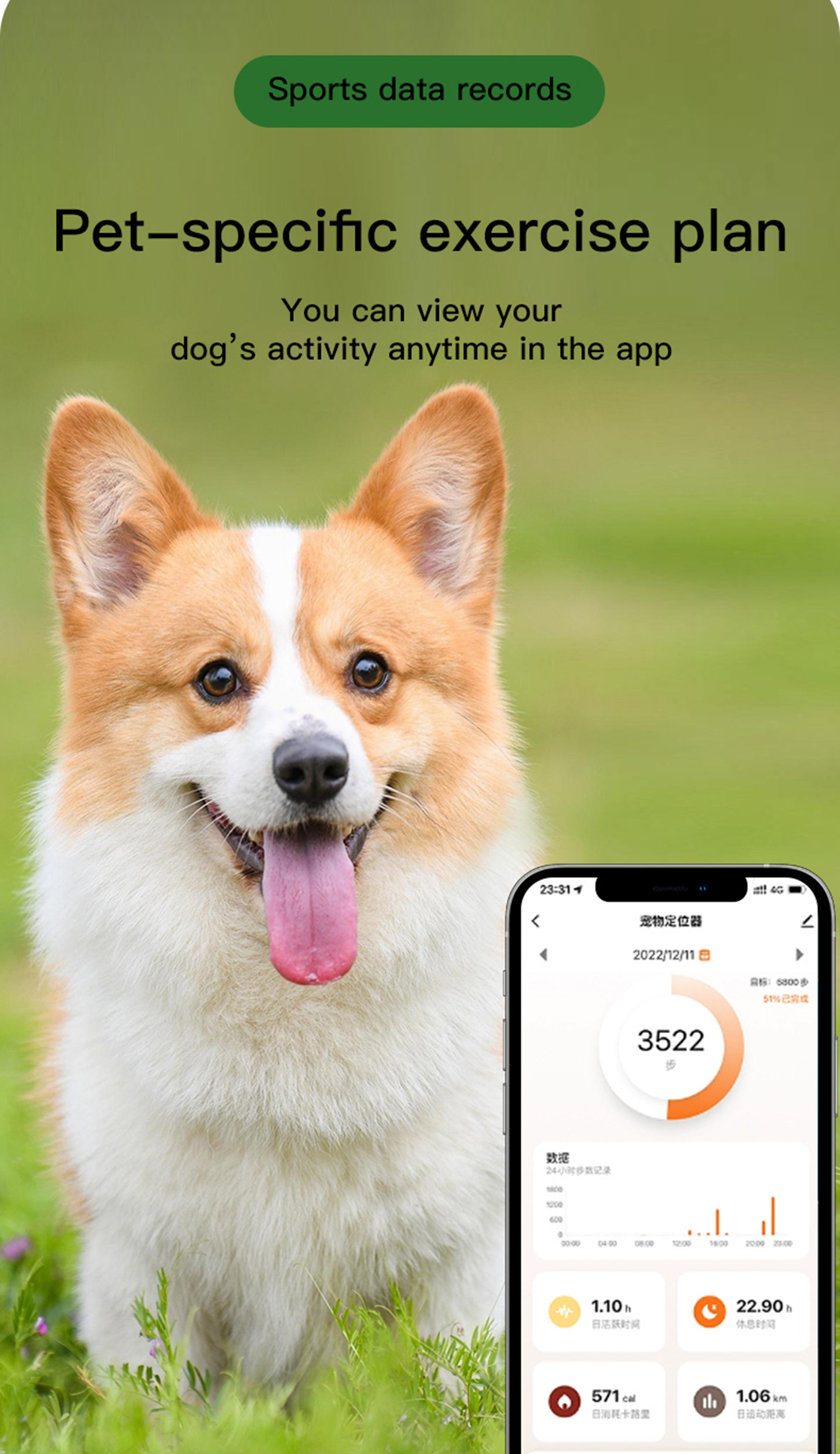 ~!phoenix_varIMG52!~