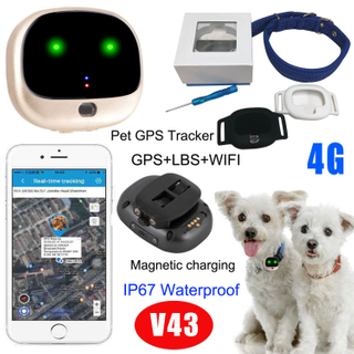 4G 时尚可爱生动设计迷你 GPS 追踪器，电池寿命长，用于 APP 警报警报 V43