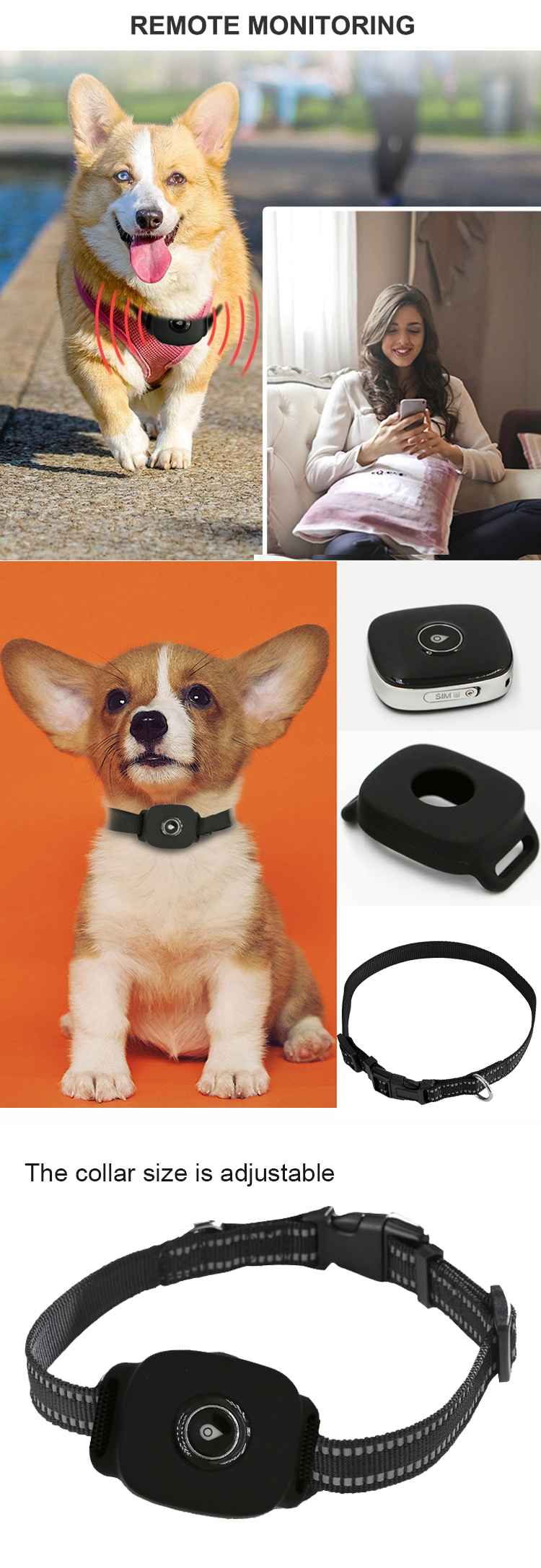 PM04C PET2