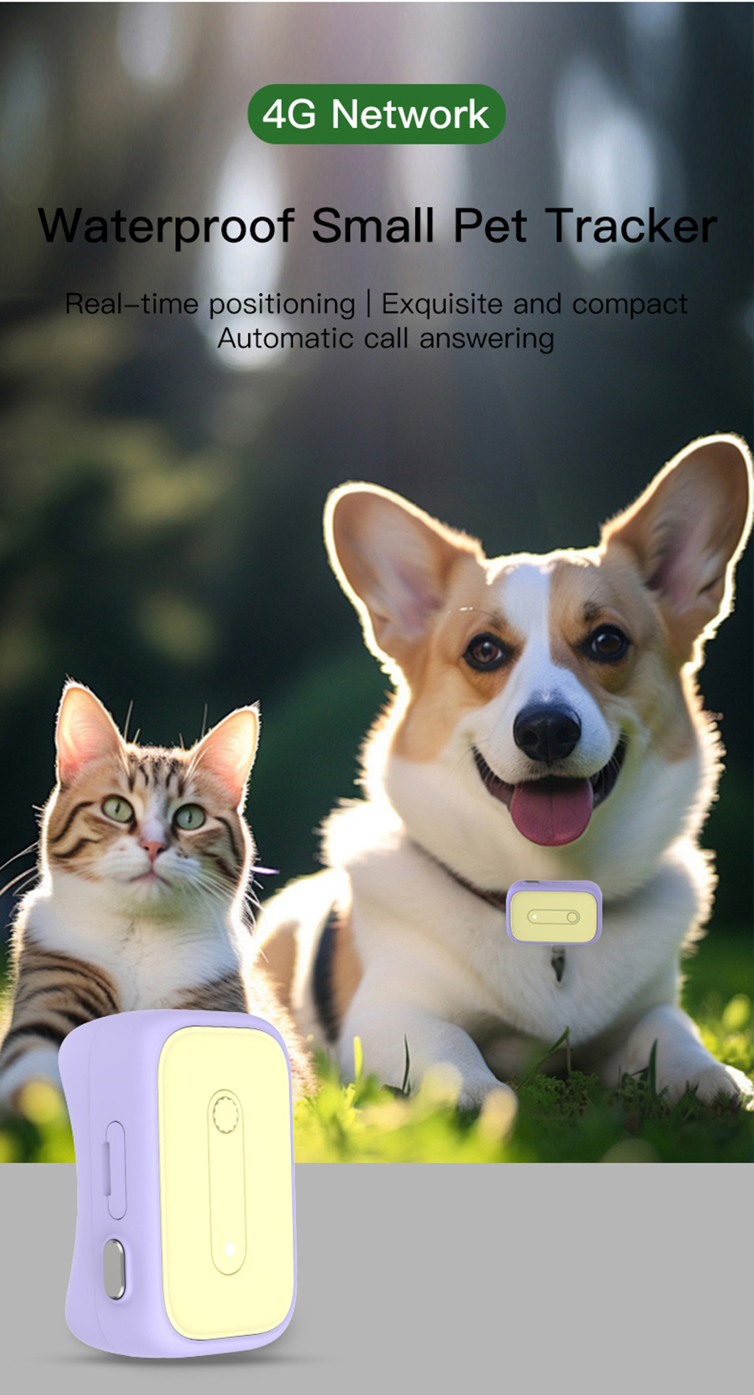 ~!phoenix_varIMG52!~