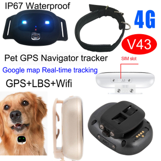4G IP67 防水宠物跟踪小工具迷你跟踪器 GPS 带安全区设置 V43